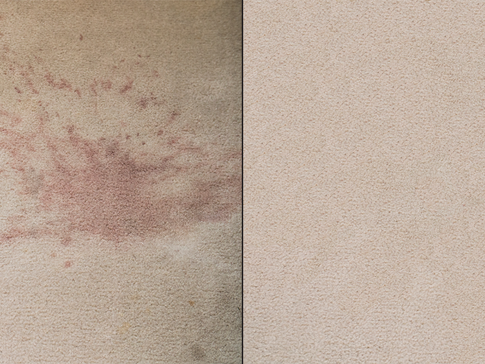 carpet.png carpet.png
